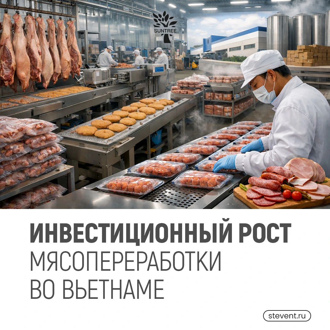 🥩 Инвестиционный рост мясопереработки во Вьетнаме