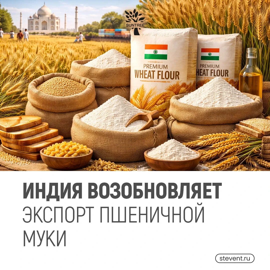 🌾Индия возобновляет экспорт пшеничной муки
